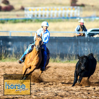 BraidwoodCampdraft2021_0141