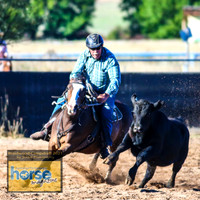 BraidwoodCampdraft2021_0281