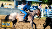 BraidwoodCampdraft2021_0132