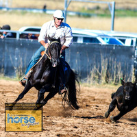 BraidwoodCampdraft2021_0248