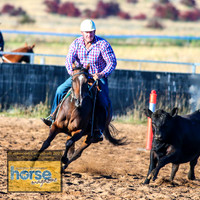 BraidwoodCampdraft2021_0011