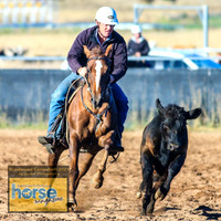 BraidwoodCampdraft2021_0075