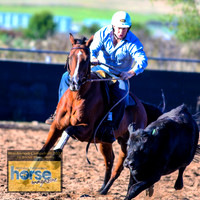 BraidwoodCampdraft2021_0207