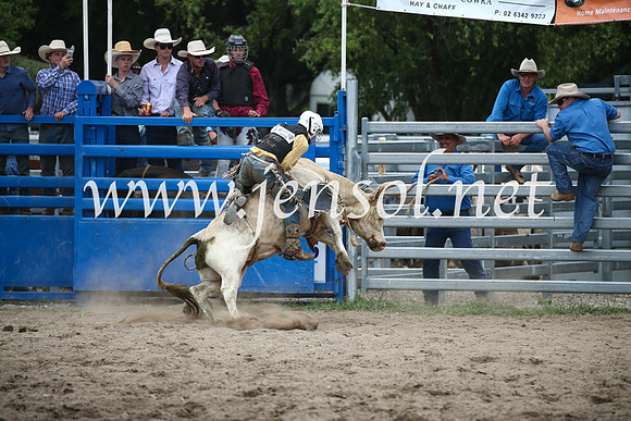 MoruyaRodeo2017_1855