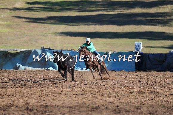 CabanandraCampdraft2015_2061