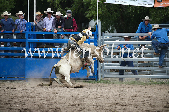MoruyaRodeo2017_1856