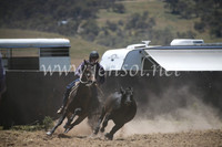 AdaminabyCampdraft2016_8018