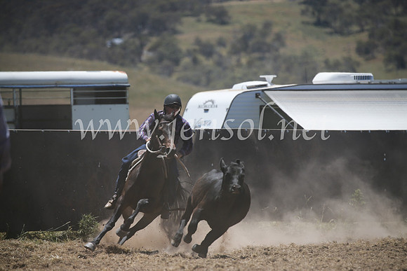 AdaminabyCampdraft2016_8018