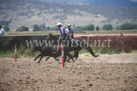 AdaminabyCampdraft2016_8126