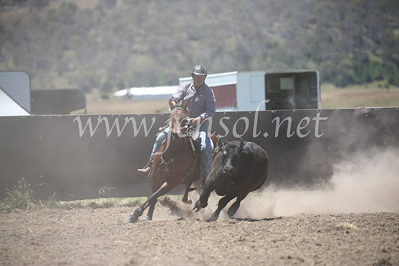 AdaminabyCampdraft2016_8153