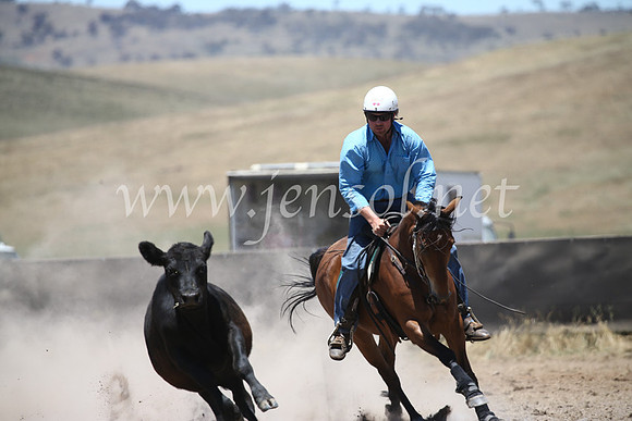 AdaminabyCampdraft2016_8210