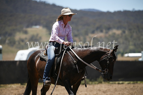 AdaminabyCampdraft2016_8052