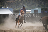 AdaminabyCampdraft2016_8004
