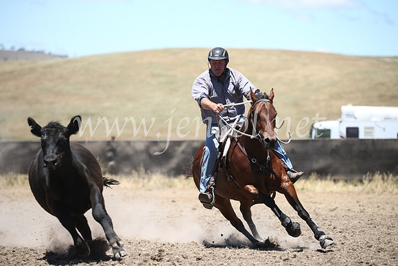 AdaminabyCampdraft2016_8167