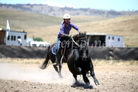 AdaminabyCampdraft2016_8122