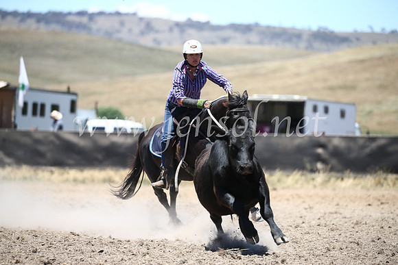 AdaminabyCampdraft2016_8122