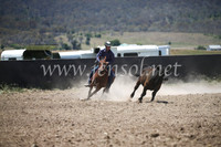 AdaminabyCampdraft2016_8085