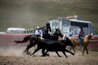 AdaminabyCampdraft2016_8035