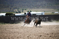AdaminabyCampdraft2016_8086