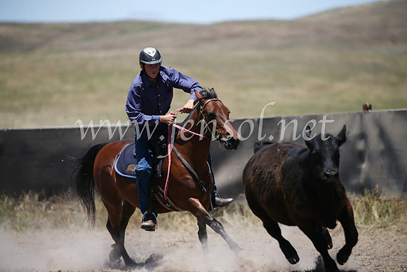 AdaminabyCampdraft2016_8092