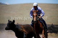AdaminabyCampdraft2016_8016