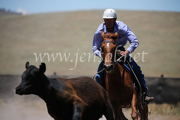AdaminabyCampdraft2016_8016
