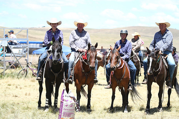 AdaminabyCampdraft2016_8220