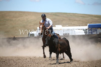 AdaminabyCampdraft2016_8102