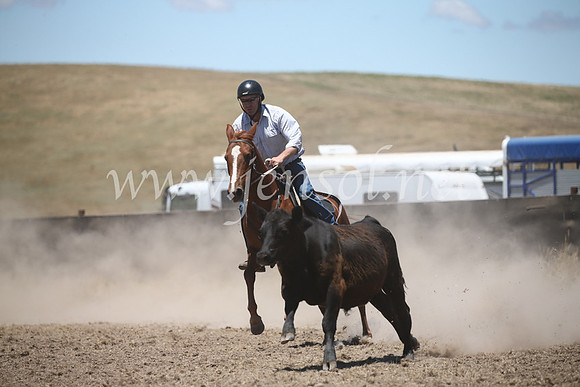 AdaminabyCampdraft2016_8102