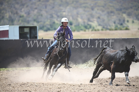 AdaminabyCampdraft2016_8112