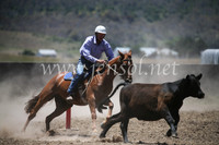 AdaminabyCampdraft2016_8012