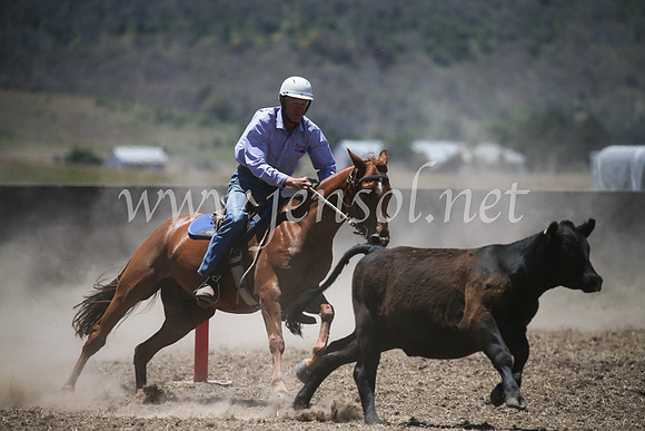 AdaminabyCampdraft2016_8012