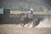 AdaminabyCampdraft2016_8110