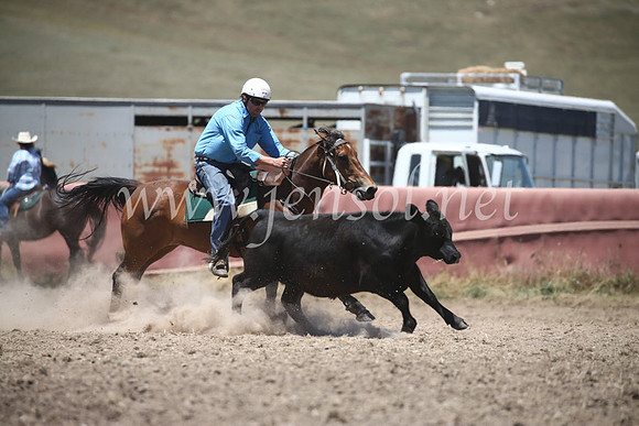 AdaminabyCampdraft2016_8204