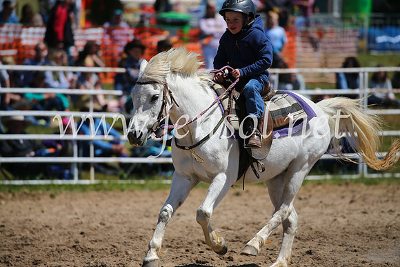 BungendoreRodeo2016-625