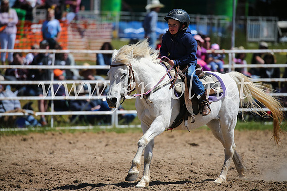 BungendoreRodeo2016-627