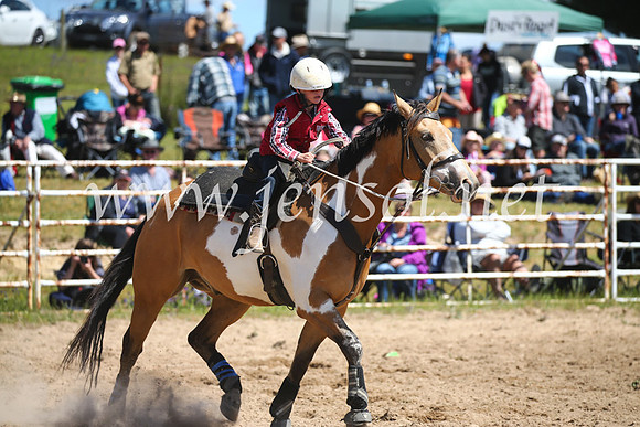 BungendoreRodeo2016-544