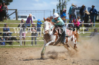 BungendoreRodeo2016-482