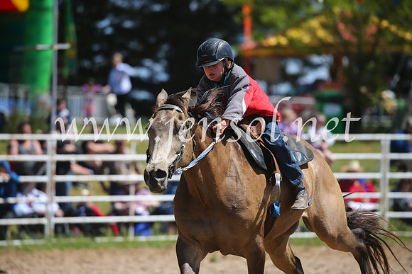BungendoreRodeo2016-931