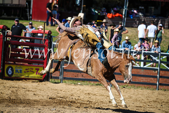CoomaRodeo2017_2122