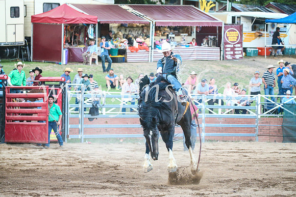 CoomaRodeo2017_3690