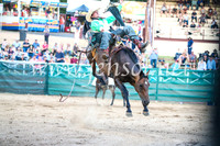 CoomaRodeo2017_3561