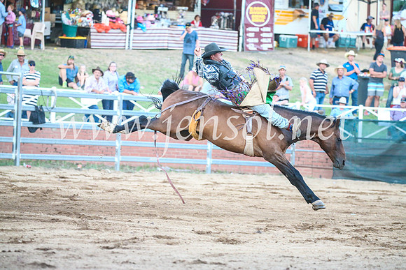 CoomaRodeo2017_3608