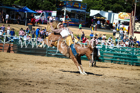 CoomaRodeo2017_2114