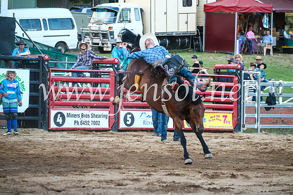 CoomaRodeo2017_3819