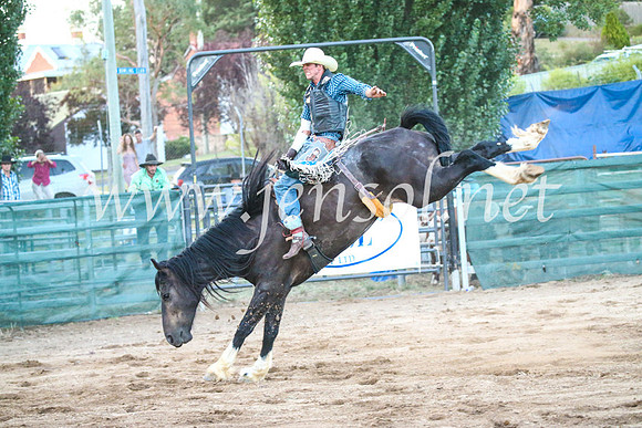CoomaRodeo2017_3736