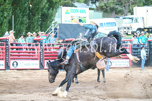 CoomaRodeo2017_3715