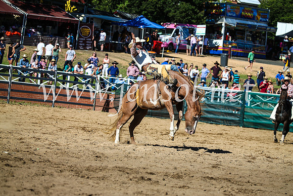 CoomaRodeo2017_2118