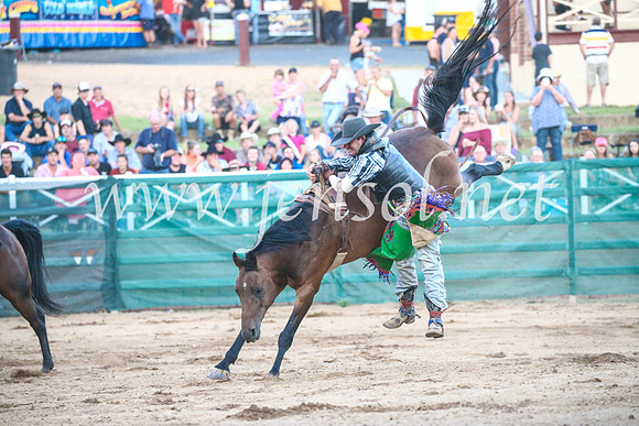 CoomaRodeo2017_3618