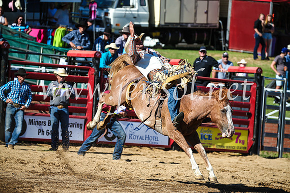 CoomaRodeo2017_2104